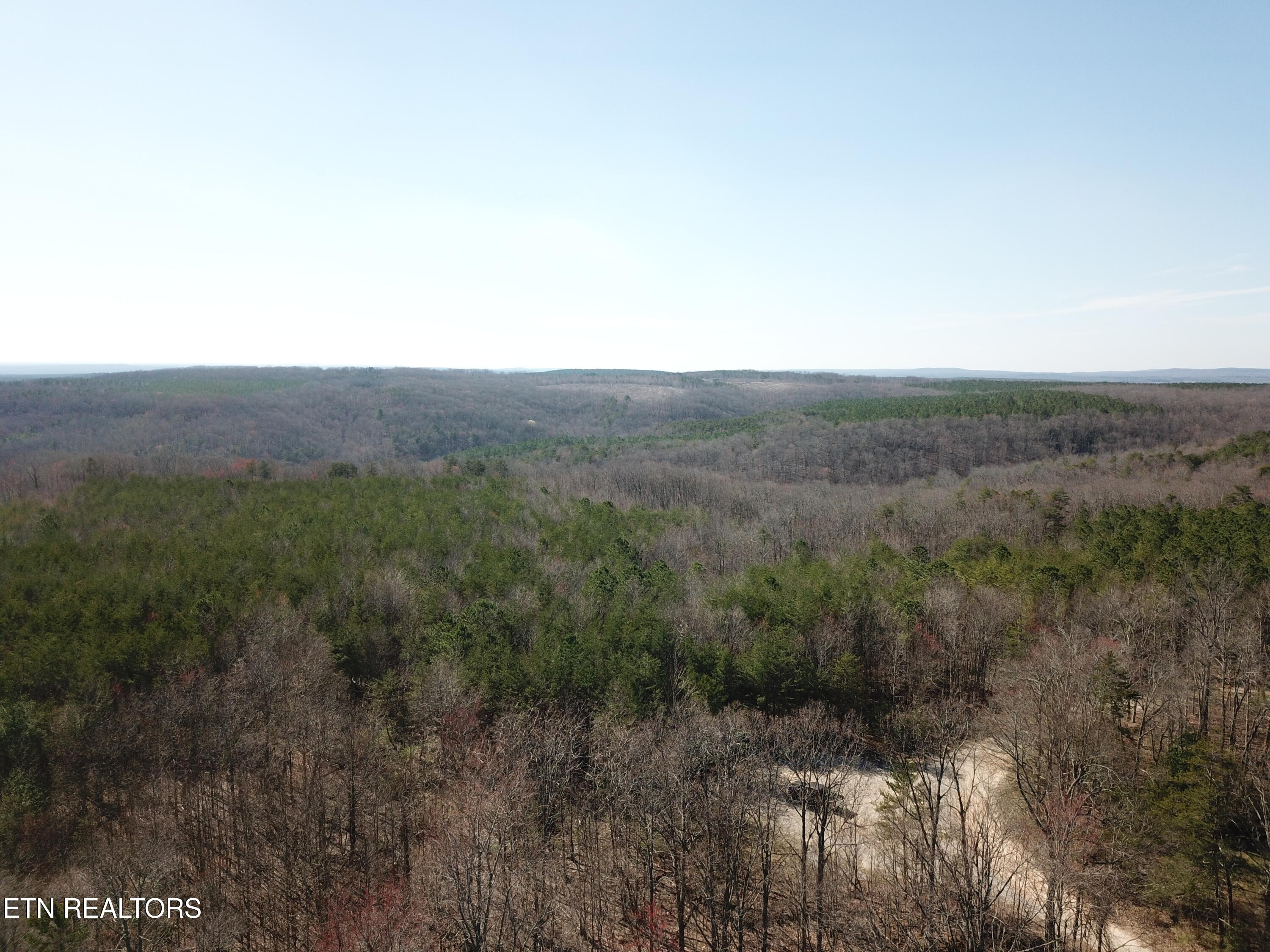 Buckridge Road Crossville, TN 38572 - Photo 20 of 26 DJI_0083