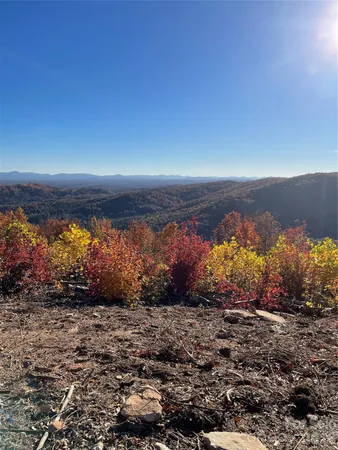 a view of a back yard