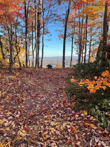 a view of a backyard of a house