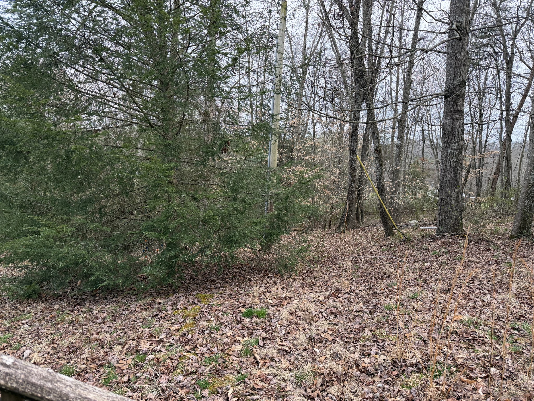 364 Shady Grove Road Lancing, TN 37770 - Photo 20 of 31 Gallery Image 20