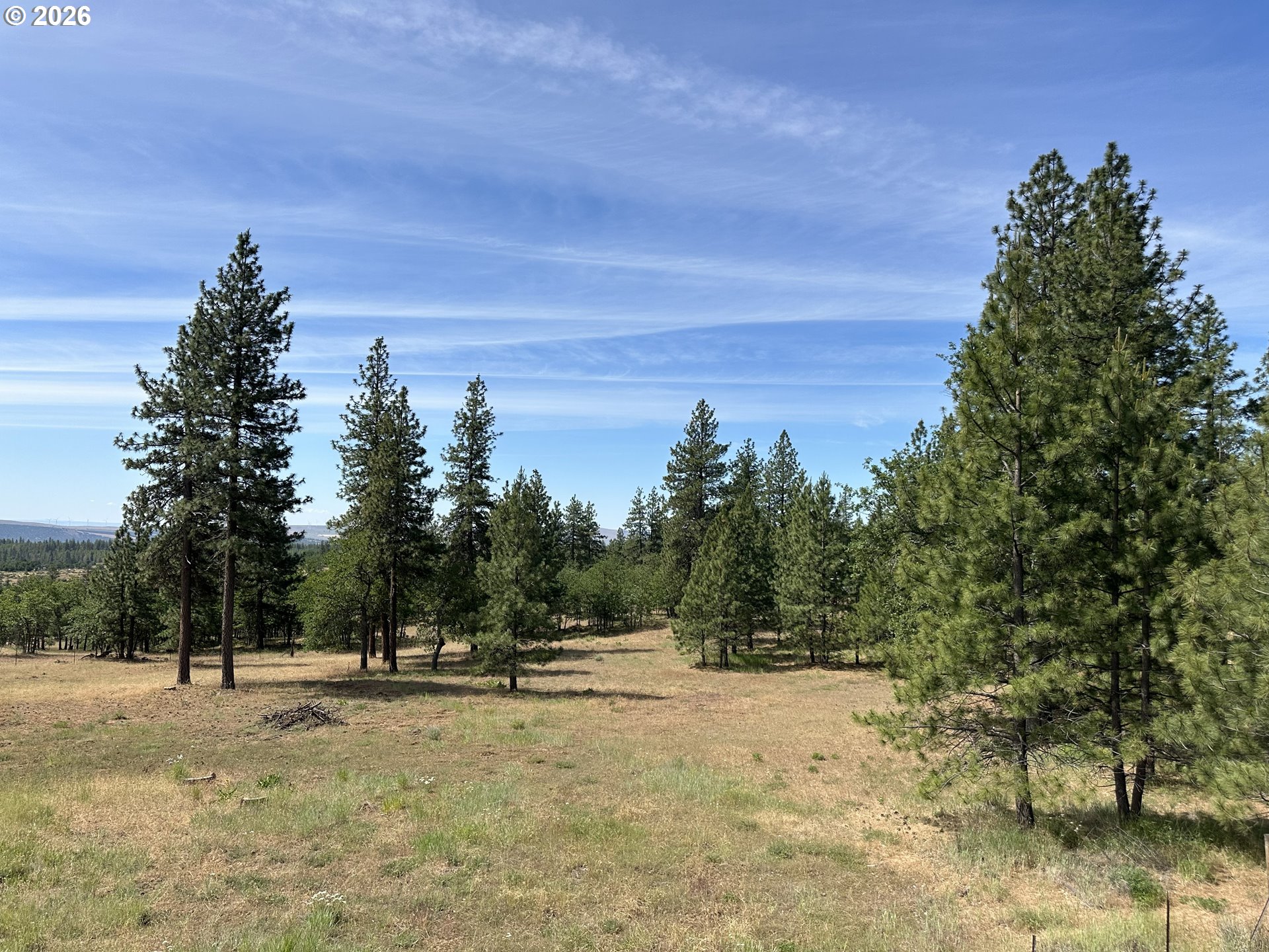 455 Old Mountain Road Goldendale, WA 98620 - Photo 22 of 42