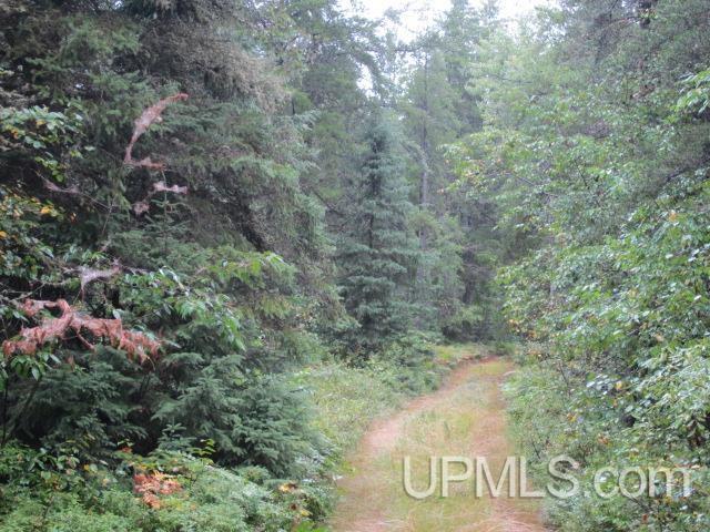 375 North Camp Road Ishpeming, MI 49849 - Photo 19 of 23