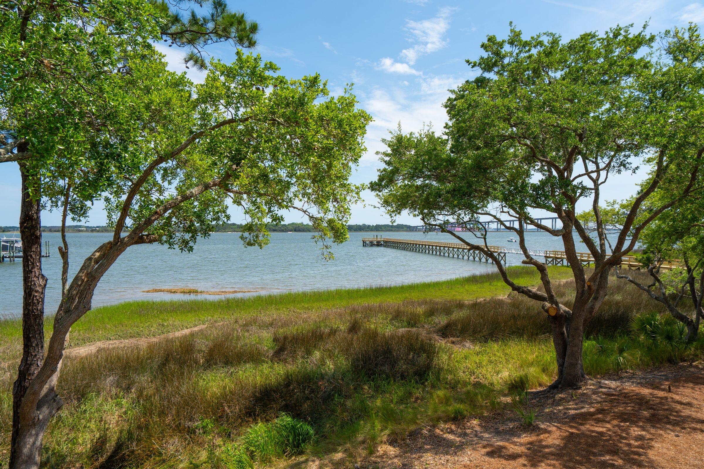401 Wayfaring Point Daniel Island, SC 29492 - Photo 38 of 155