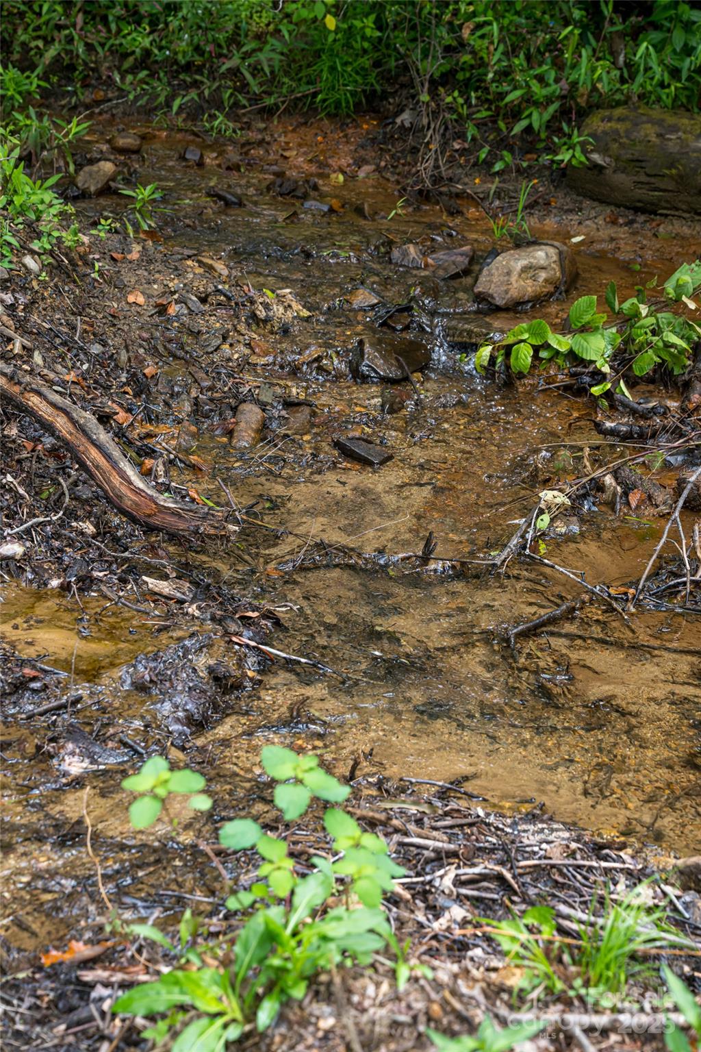 147 Dye Leaf Road Fairview, NC 28730 - Photo 30 of 46 a backyard of a house with a yard and outdoor seating