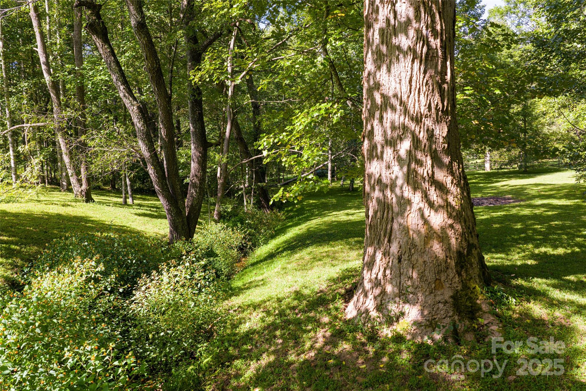 147 Dye Leaf Road Fairview, NC 28730 - Photo 40 of 46 a view of a garden with a tree
