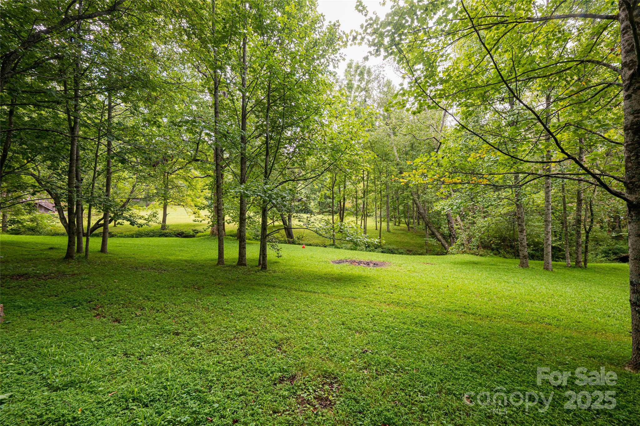 147 Dye Leaf Road Fairview, NC 28730 - Photo 41 of 46 a view of a trees in a yard