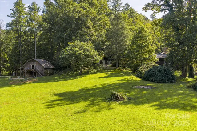 a backyard of a house with lots of plants and tree