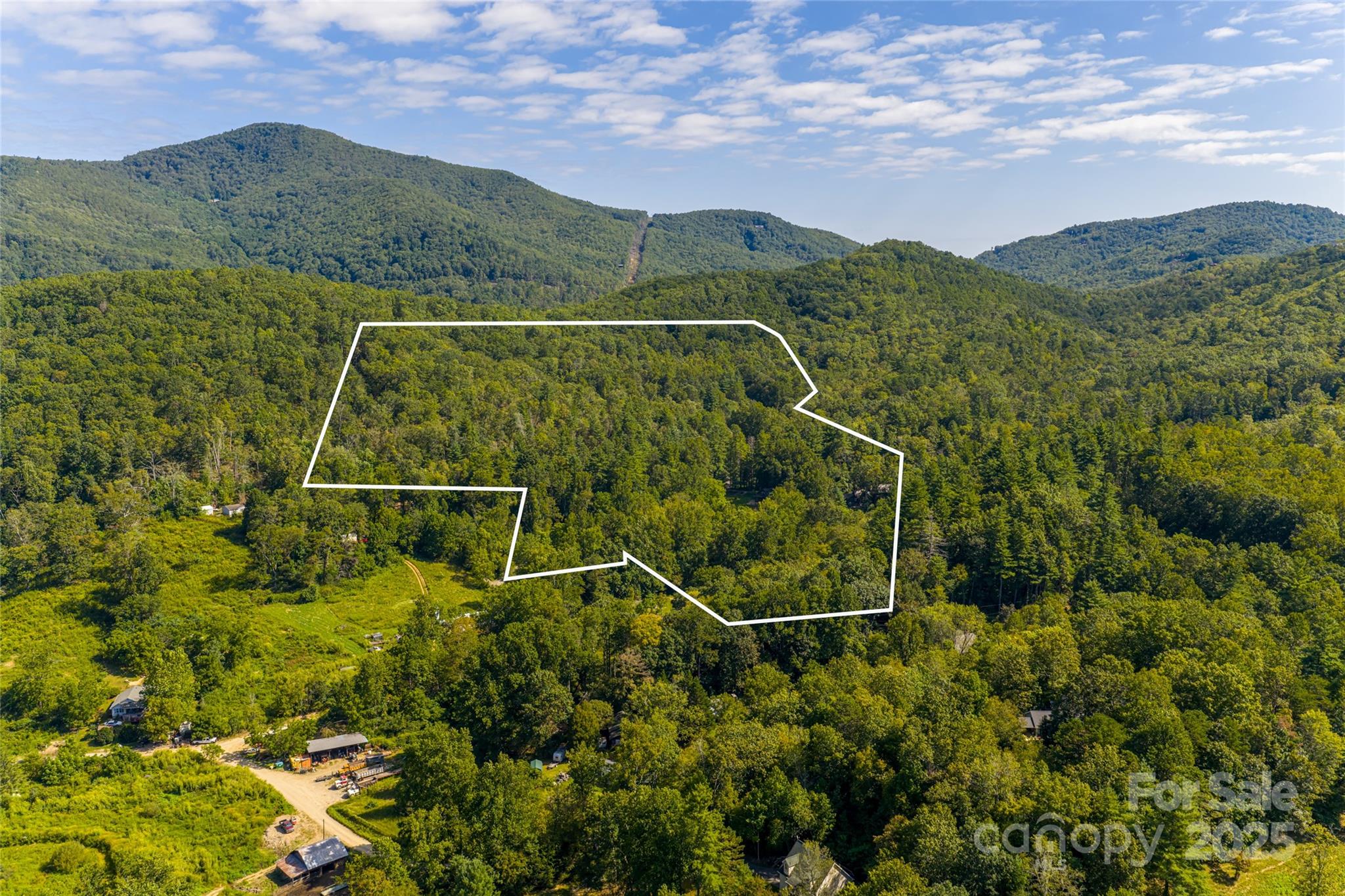 147 Dye Leaf Road Fairview, NC 28730 - Photo 46 of 46 a view of a field with a mountain in the background