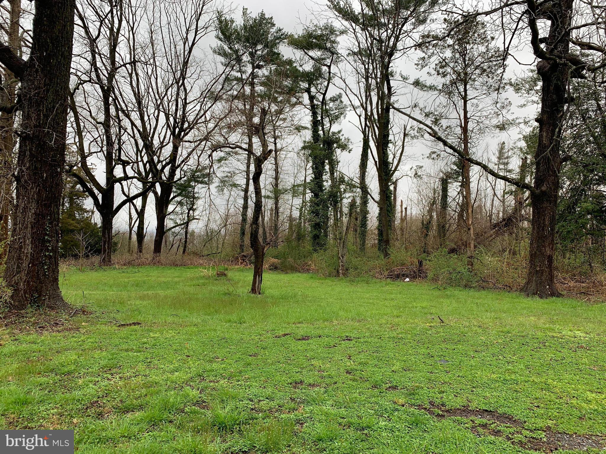 229 Shoemaker Road Bridgeton, NJ 08302 - Photo 4 of 15