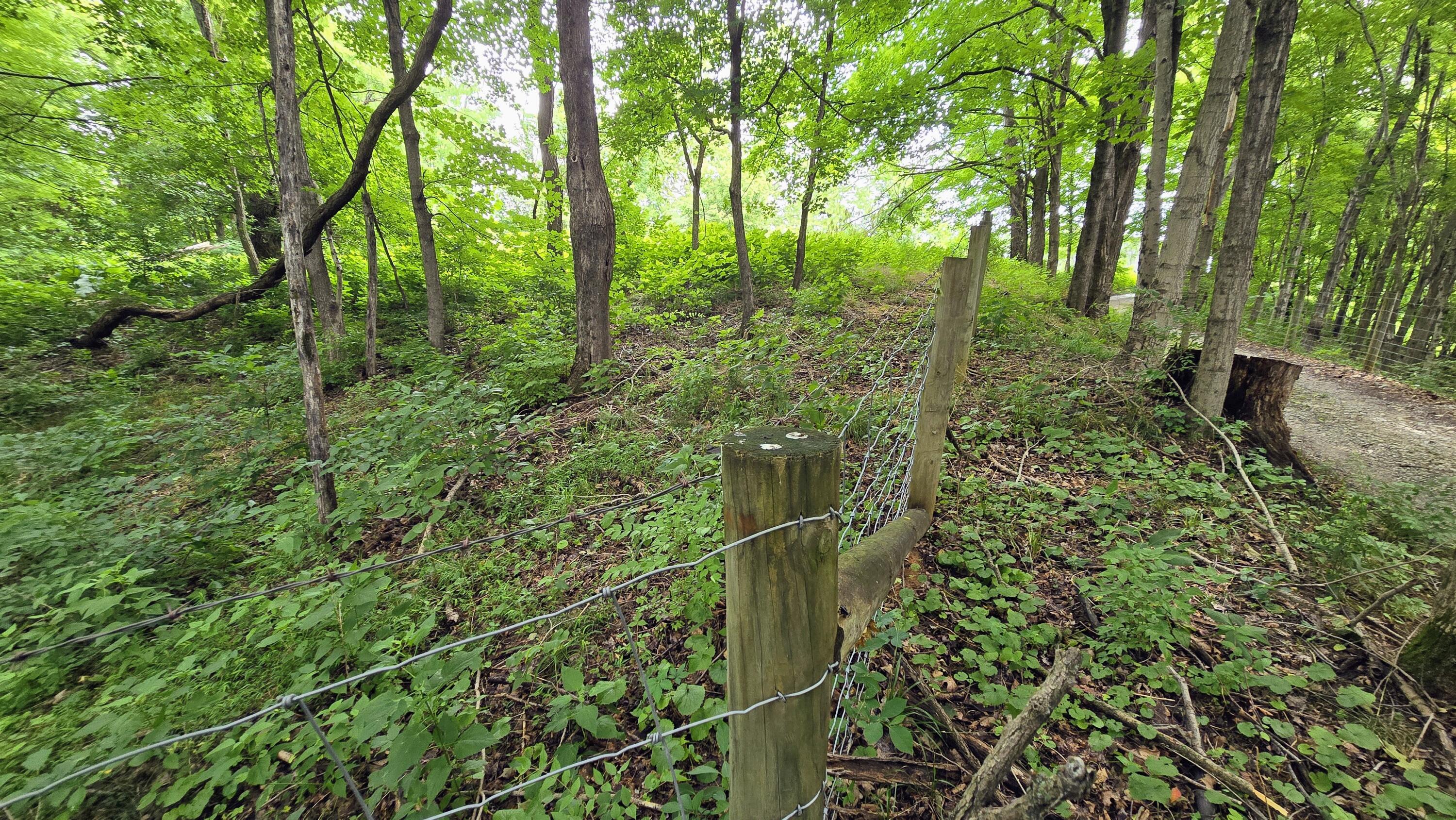 9477 Beechgrove Road Burlington, KY 41005 - Photo 16 of 47 2g (1)