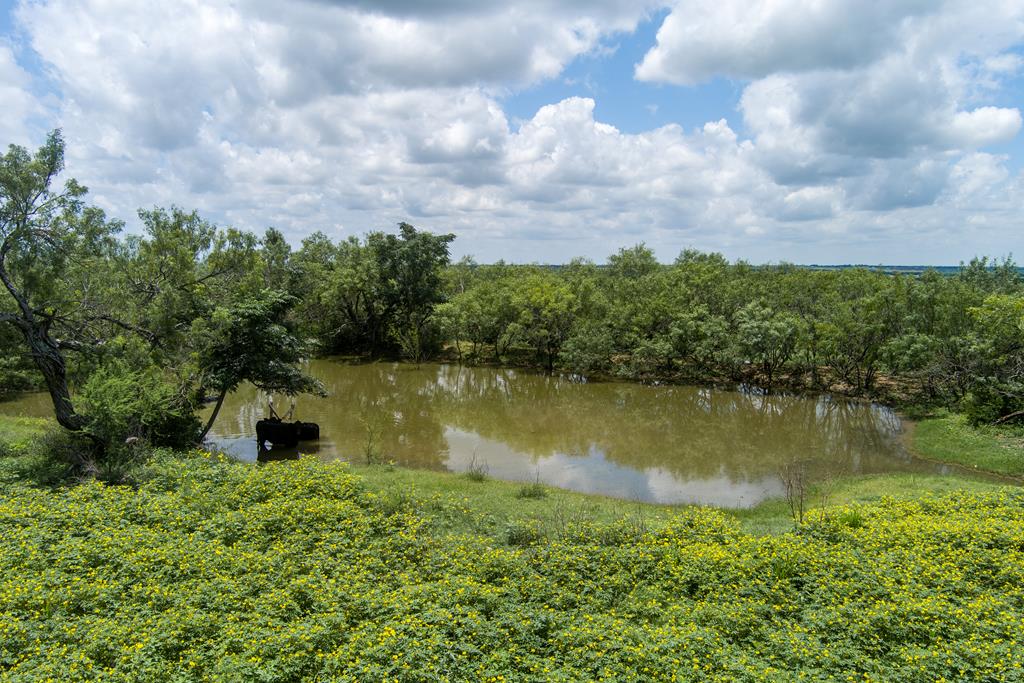 4515 Stapper Road St. Hedwig, TX 78152 - Photo 65 of 66