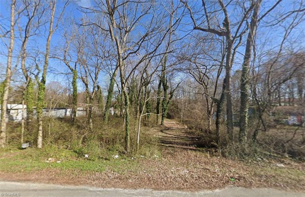0 North Foushee Street Roxboro, NC 27573 - Photo 2 of 2