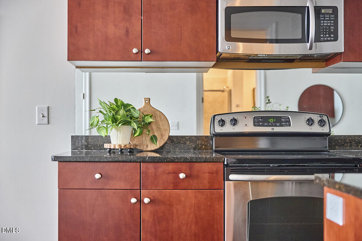 301 Fayetteville Street, Unit 2304 Raleigh, NC 27601 - Photo 6 of 47 Kitchen
