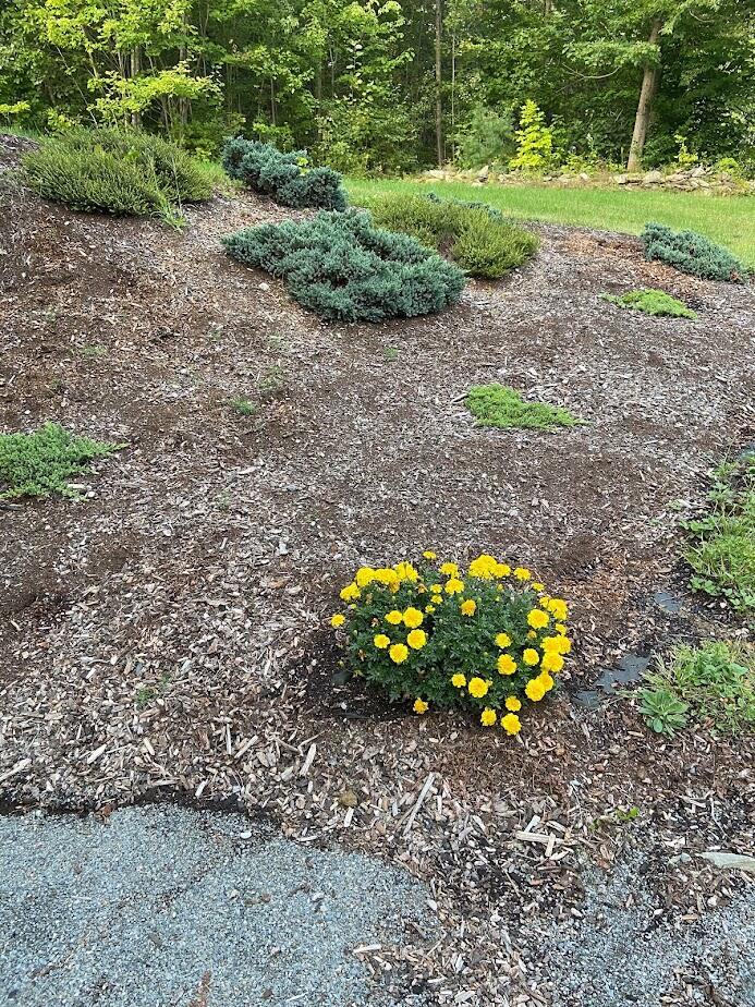 5 North Chester Road Chester, ME 04457 - Photo 94 of 107 Spring_Summer