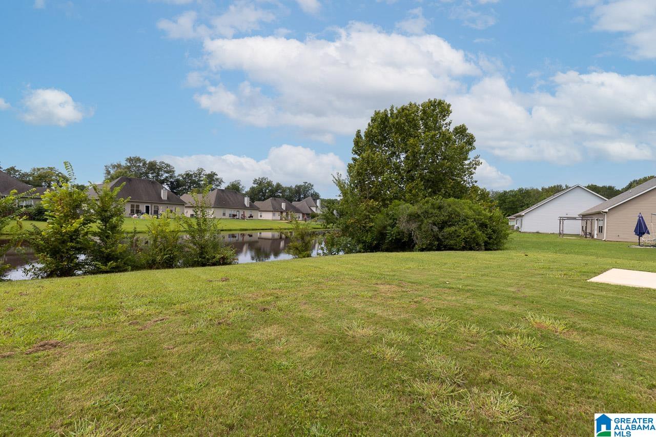 159 Moores Spring Road Montevallo, AL 35115 - Photo 3 of 25