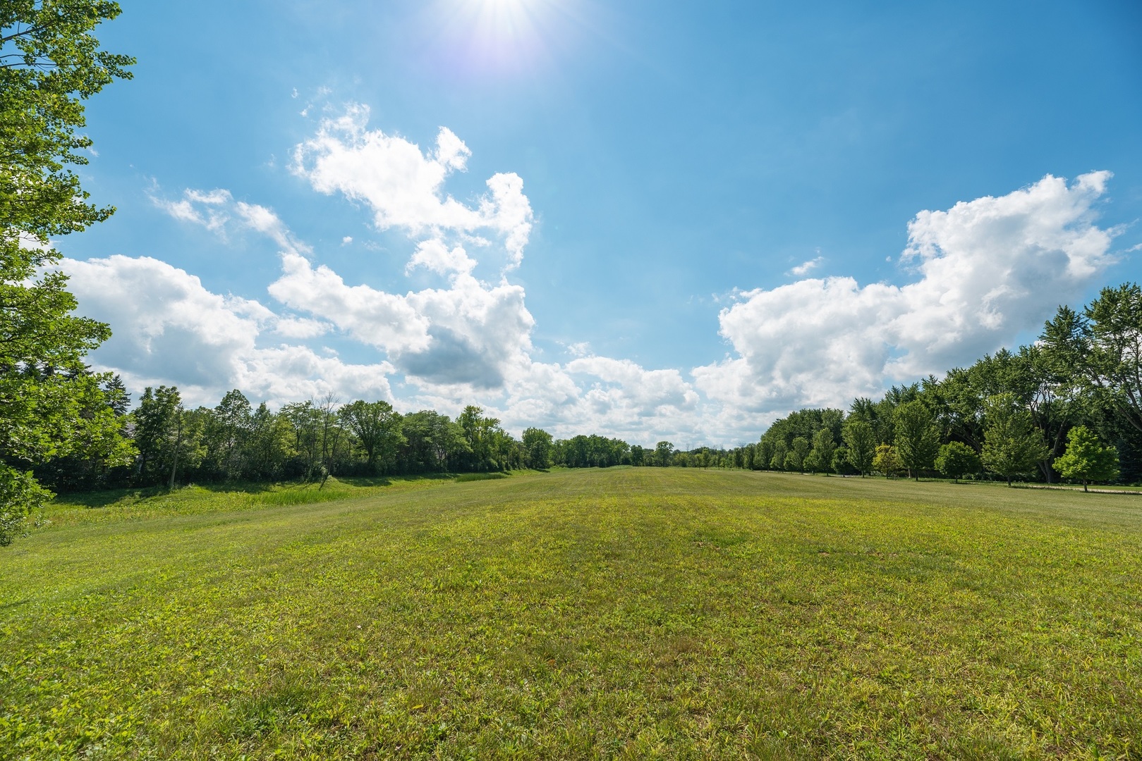 Lot 5 Whitehall Lane Lake Forest, IL 60045 - Photo 5 of 11 a view of a big yard with a house in the background