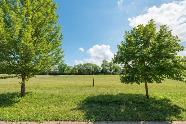 a view of outdoor space with a yard