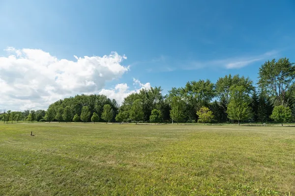 a view of a grassy field with trees in the background