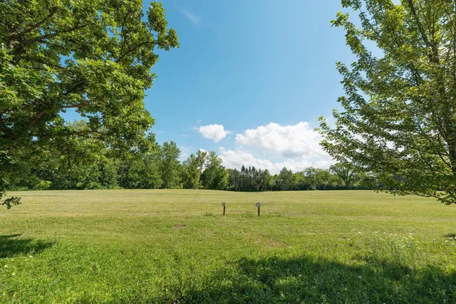 a view of a field with an trees