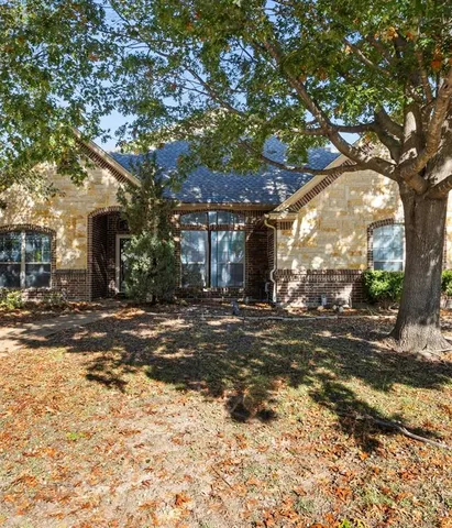 a view of a yard with plants and large trees