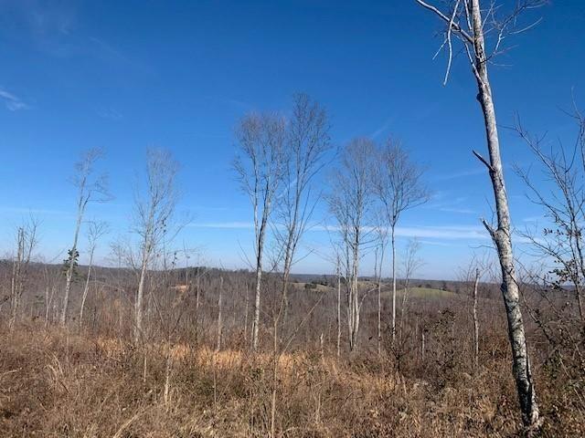 4 Public Road Somerset, KY 42503 - Photo 1 of 1 39634
