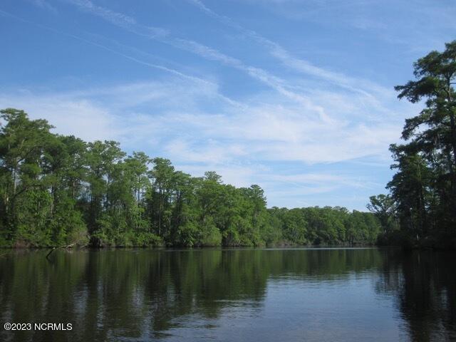 633 Batts Island Road Edenton, NC 27932 - Photo 13 of 18 IMG_0602