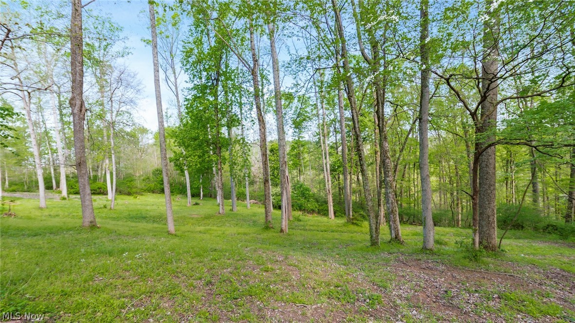 2531 Nicholas Lane Dresden, OH 43821 - Photo 37 of 40 Wooded parcel featuring a varied canopy of mature trees and vibrant green undergrowth