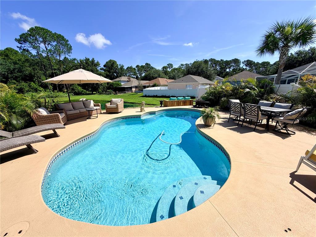 30341 Pongo Way Wesley Chapel, FL 33545 - Photo 11 of 30