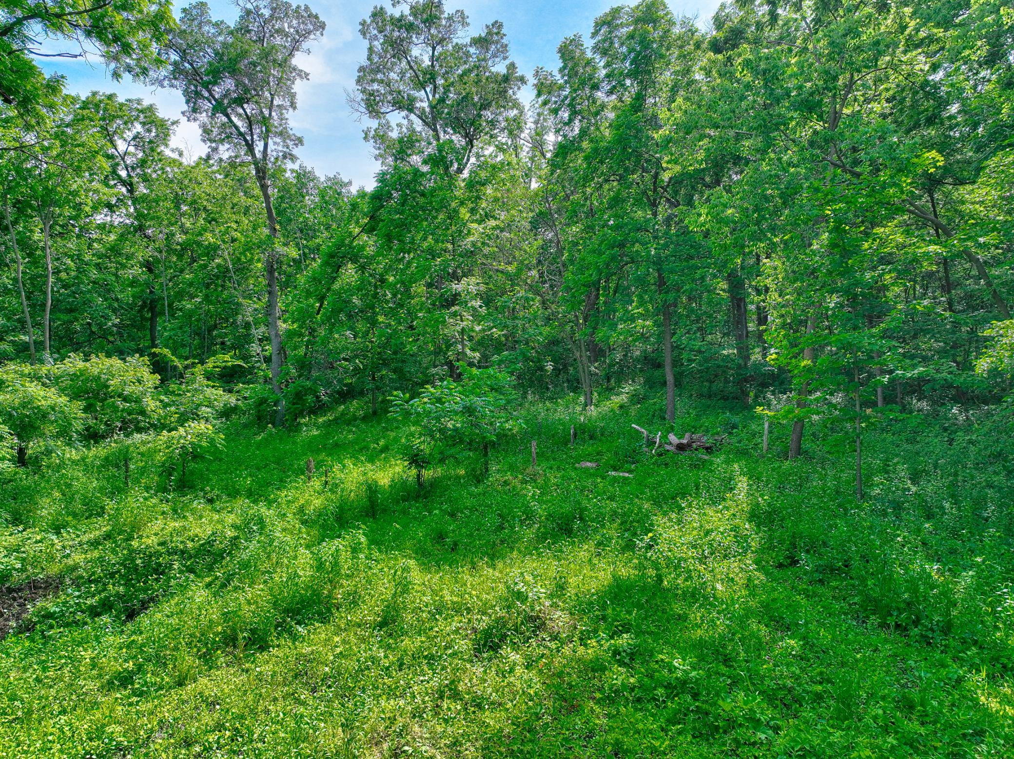 660 100th Street Roberts, WI 54023 - Photo 5 of 11