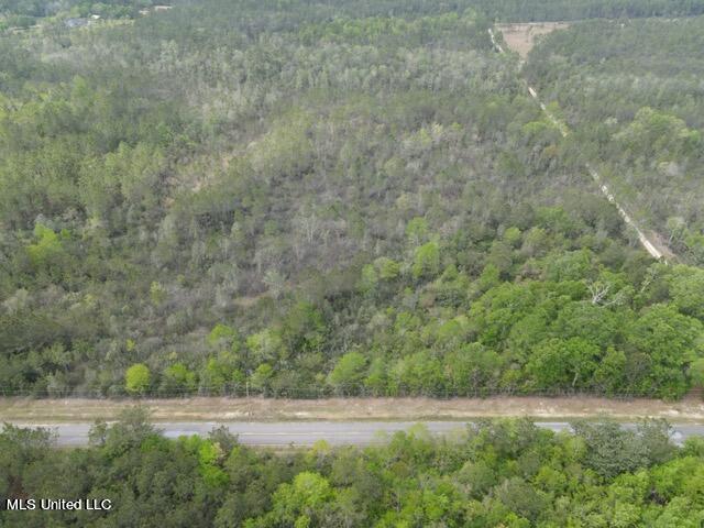 4 Deerwood Road Kiln, MS 39556 - Photo 3 of 10 DW Photo 3