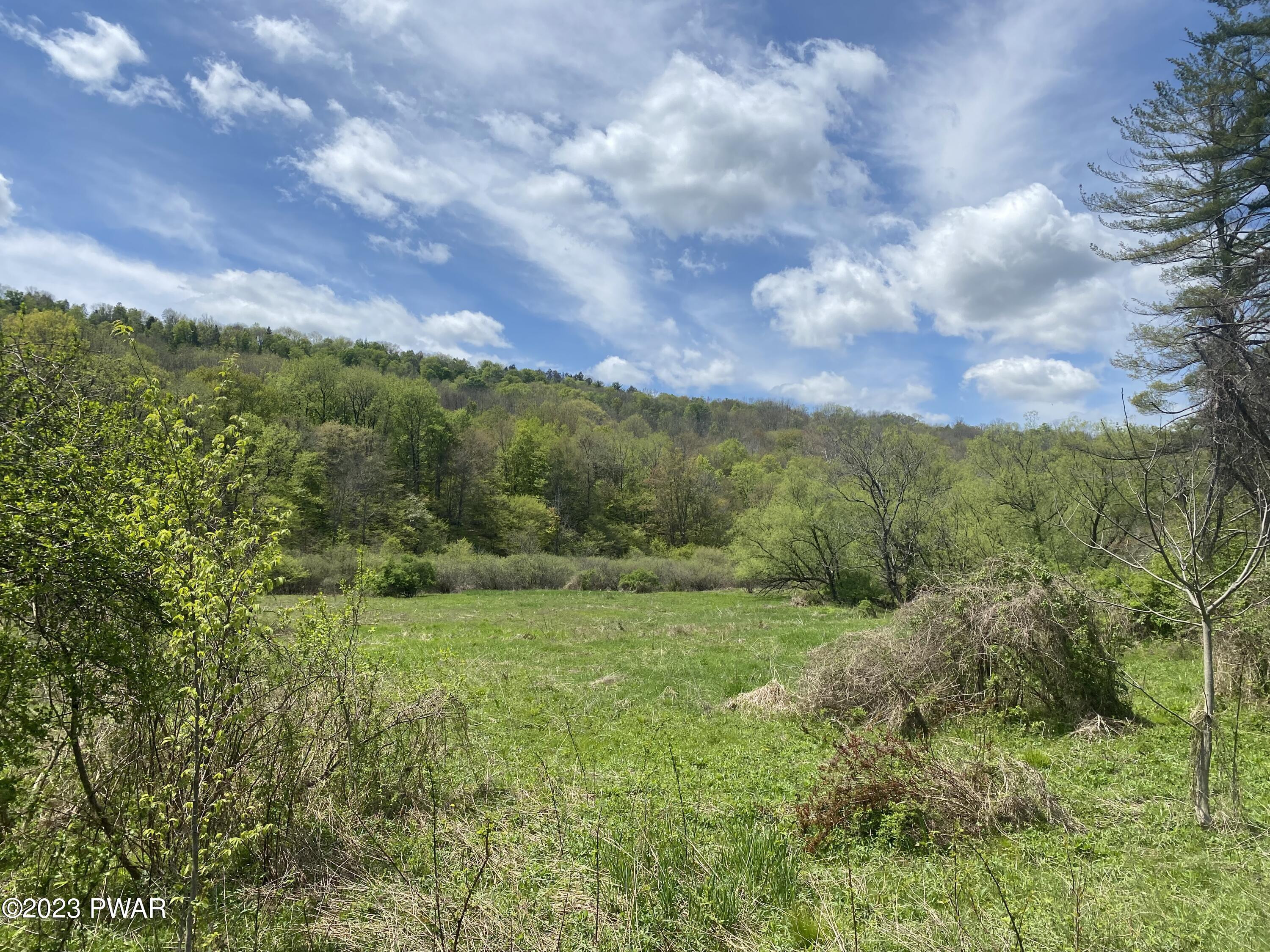 Dug Road Honesdale, PA 18431 - Photo 2 of 7 Cleared Area