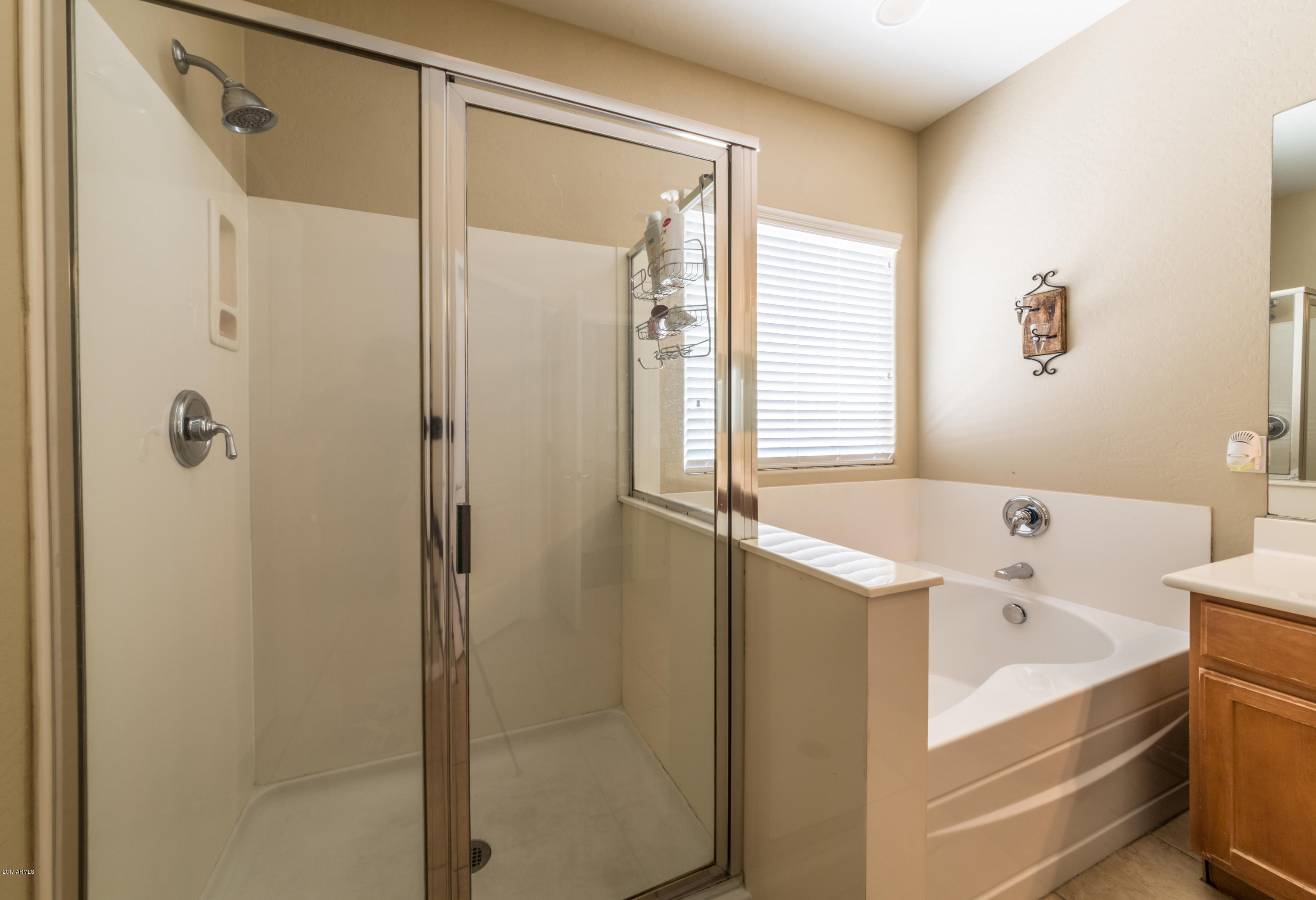 2872 North Point Ridge Road Buckeye, AZ 85396 - Photo 19 of 36 a bathroom with a bathtub a shower a sink and a window