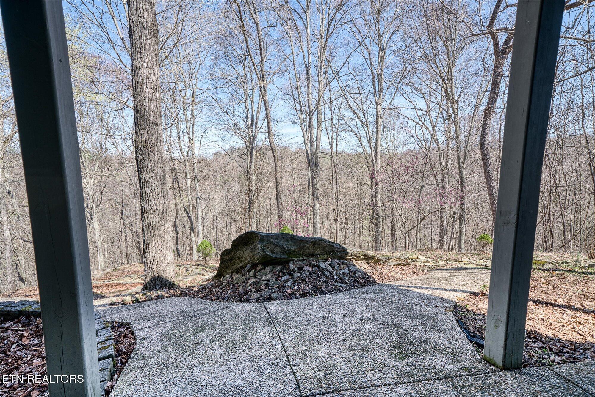 566 Mallard Pointe Road Byrdstown, TN 38549 - Photo 46 of 47 55-566 Mallard Pointe Dr_TNPC_314