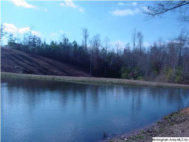 472 Tumblin Mill Road Heflin, AL 36264 - Photo 28 of 32