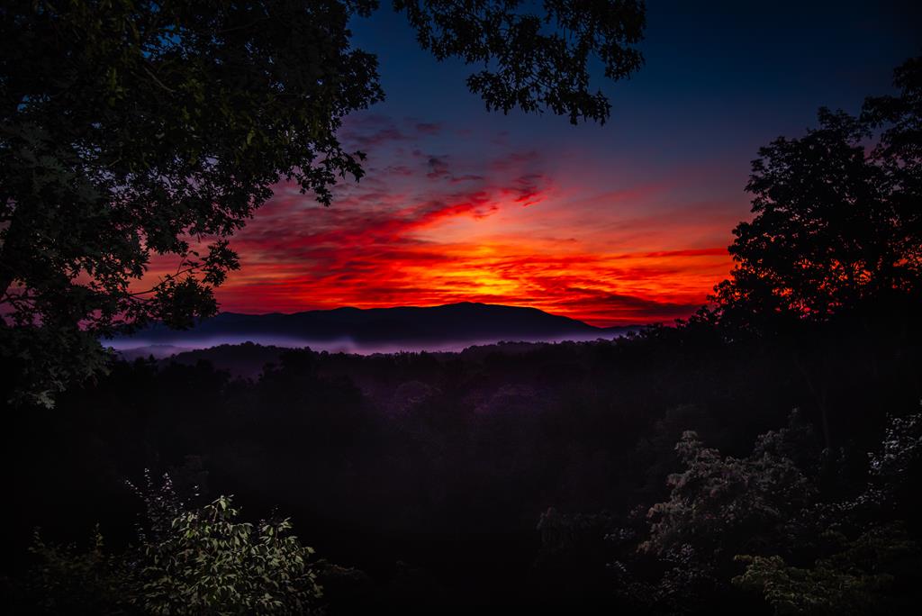 103 Talona Ridge Road Ellijay, GA 30536 - Photo 66 of 76 Seller Photo
