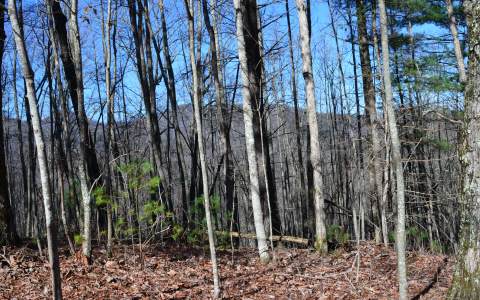 17 Stephens Road Blairsville, GA 30512 - Photo 1 of 1 Main View