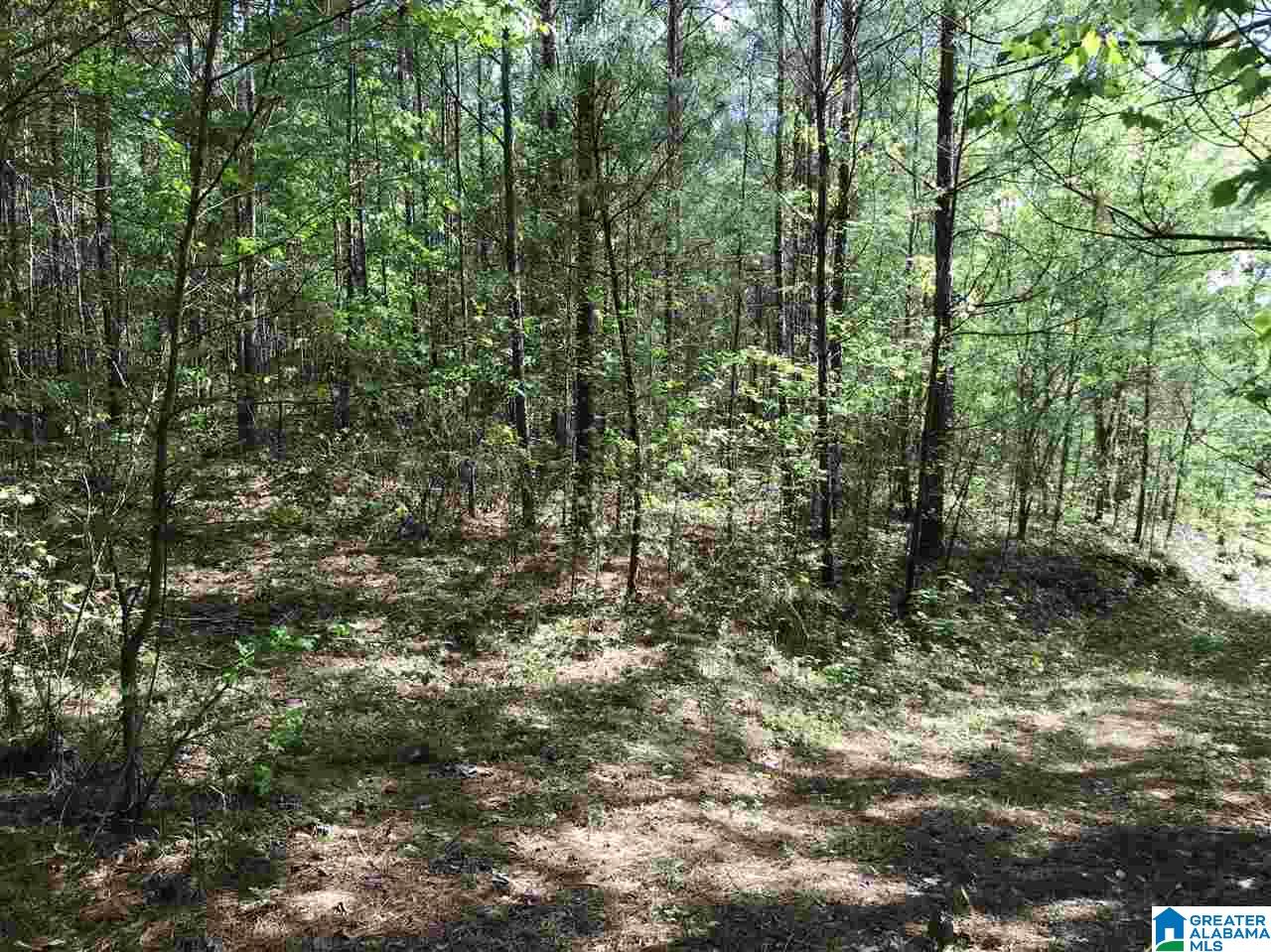 0 Acton Road, Unit 45 ACRE Moody, AL 35004 - Photo 6 of 12