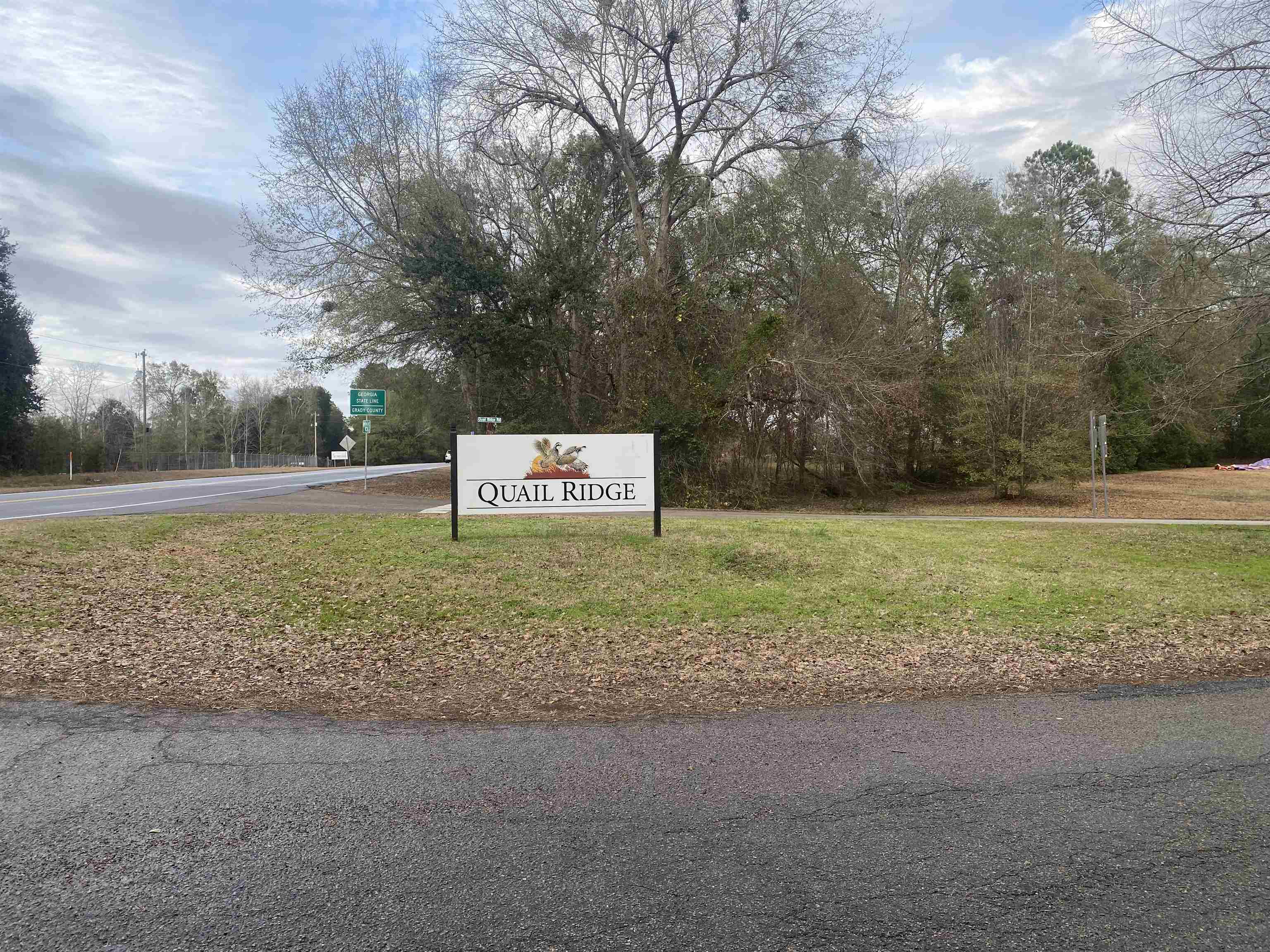 177 Quail Ridge Havana, FL 32333 - Photo 12 of 21