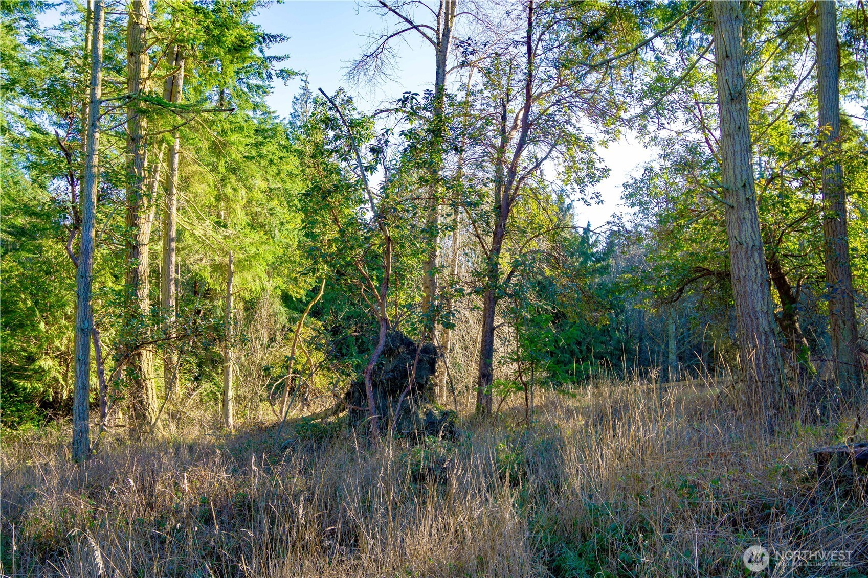 995 Kirner Road Sequim, WA 98382 - Photo 25 of 31 a view of a garden