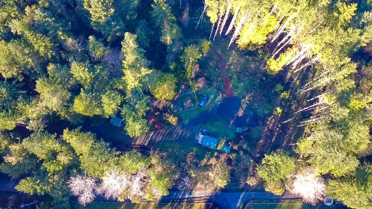 995 Kirner Road Sequim, WA 98382 - Photo 30 of 31 a picture of flowers