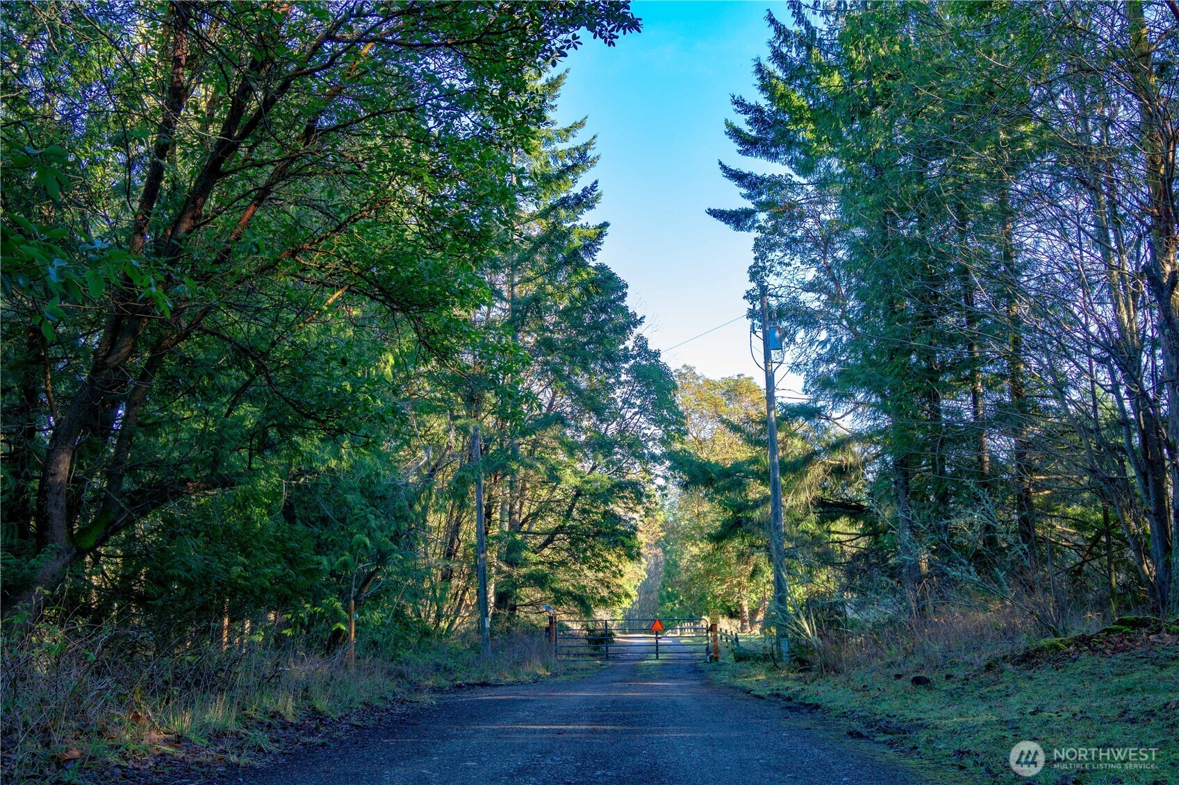 995 Kirner Road Sequim, WA 98382 - Photo 5 of 31 a big yard with flowing stream of water in middle
