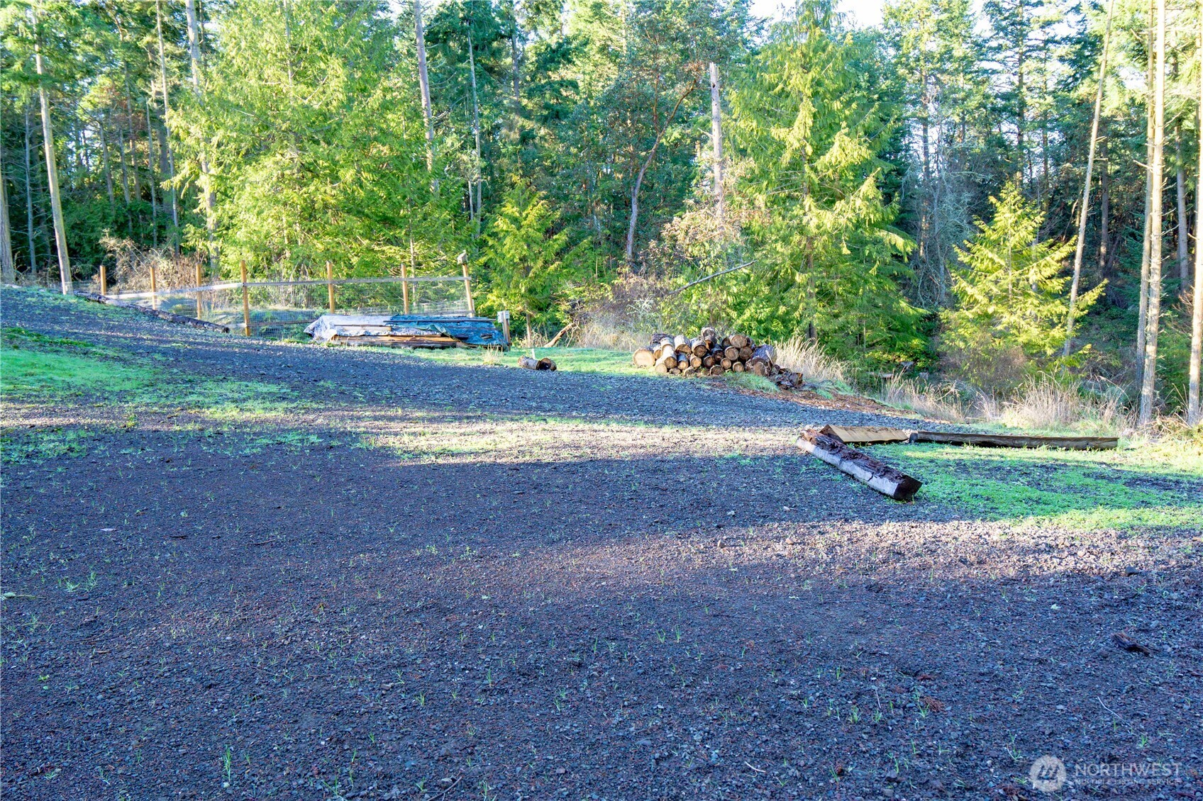 995 Kirner Road Sequim, WA 98382 - Photo 8 of 31 a view of a yard with plants and trees