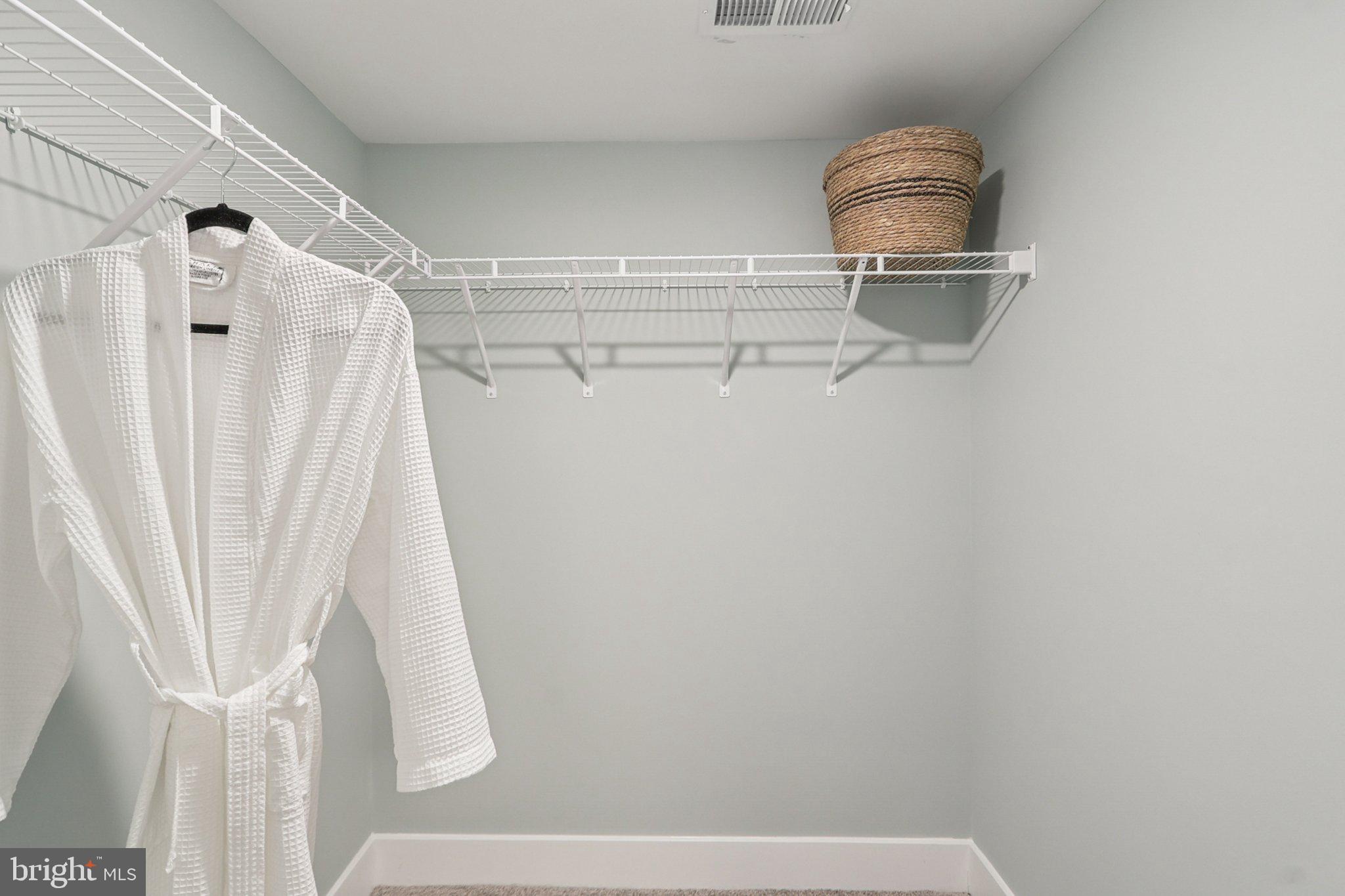 121 Hydrangea Way Winchester, VA 22602 - Photo 57 of 83 a close view of walk in closet