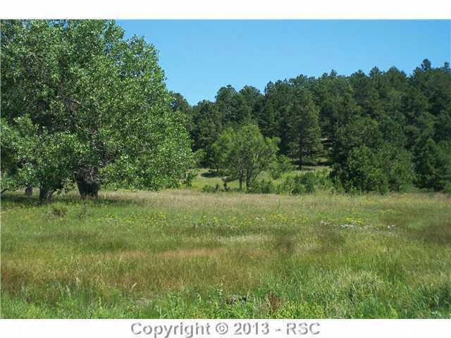15540 Apex Ranch Road Peyton, CO 80831 - Photo 1 of 3 Gorgeous nearly 5 ac tract w/perfect combination of trees & meadows!