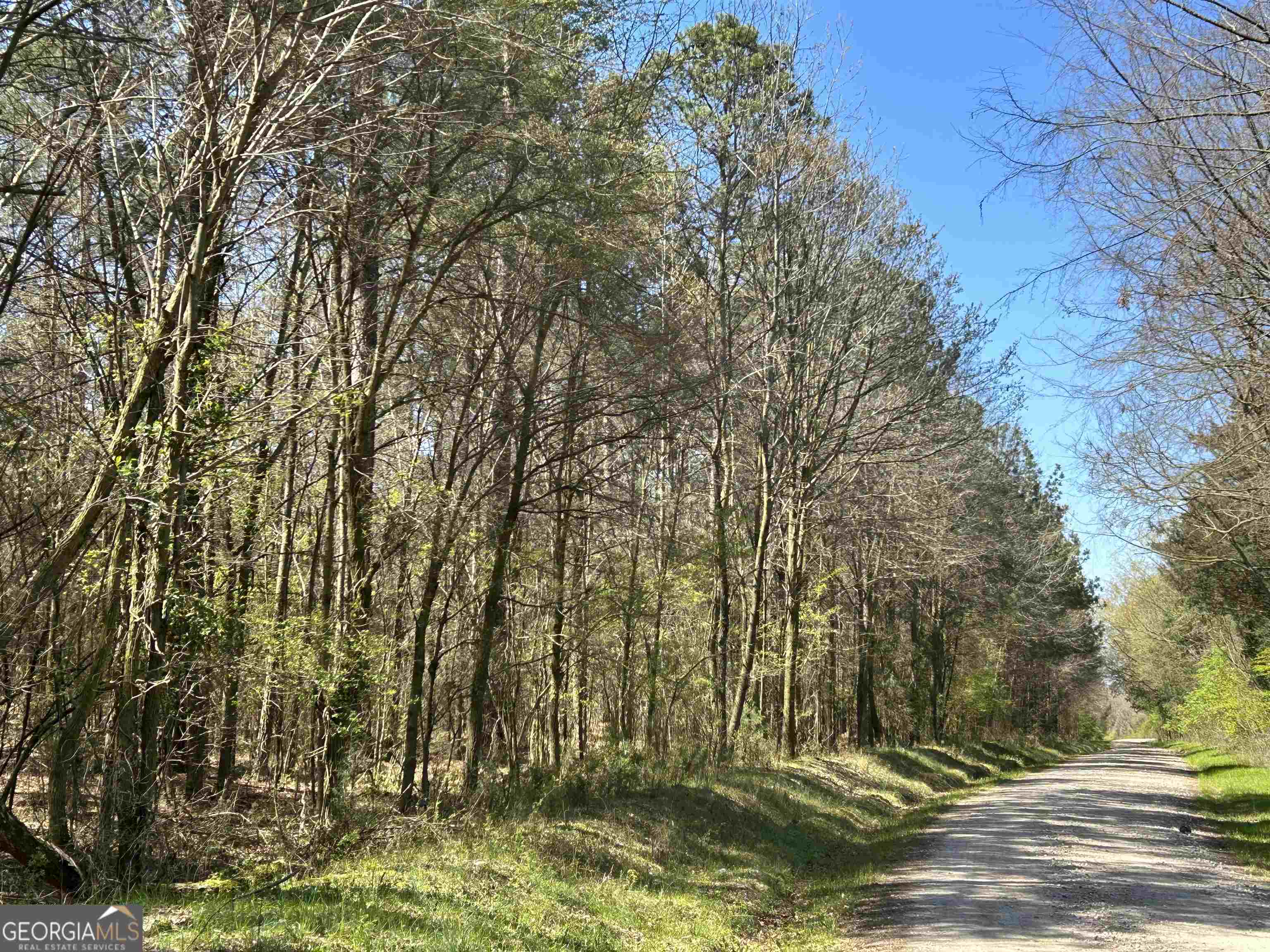 0 Fork Creek Road Dewy Rose, GA 30634 - Photo 1 of 1 Gallery Image 1