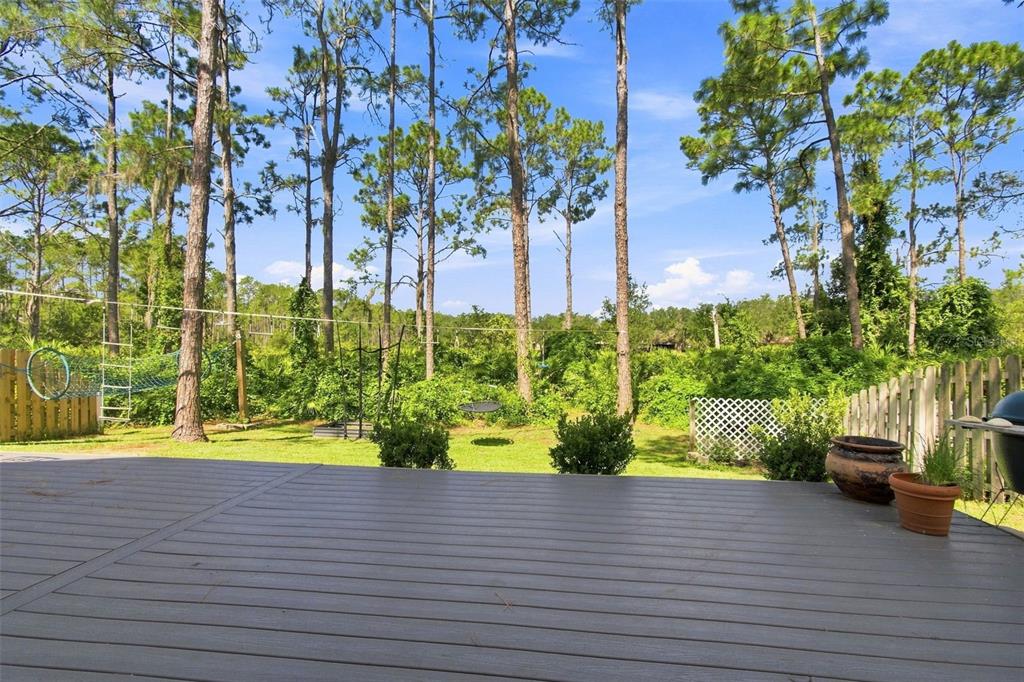 17708 Long Ridge Road Tampa, FL 33647 - Photo 51 of 100 Gallery Image 51