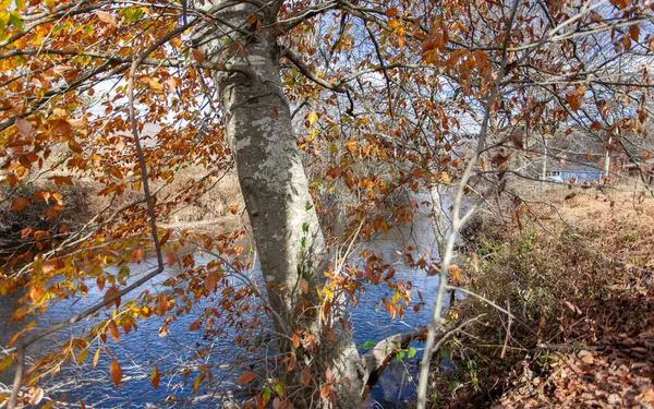 $119,900 | 0 Leaping Trout Run, Marble, NC 28905