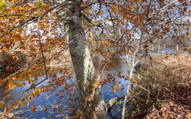 $119,900 | 0 Leaping Trout Run, Marble, NC 28905