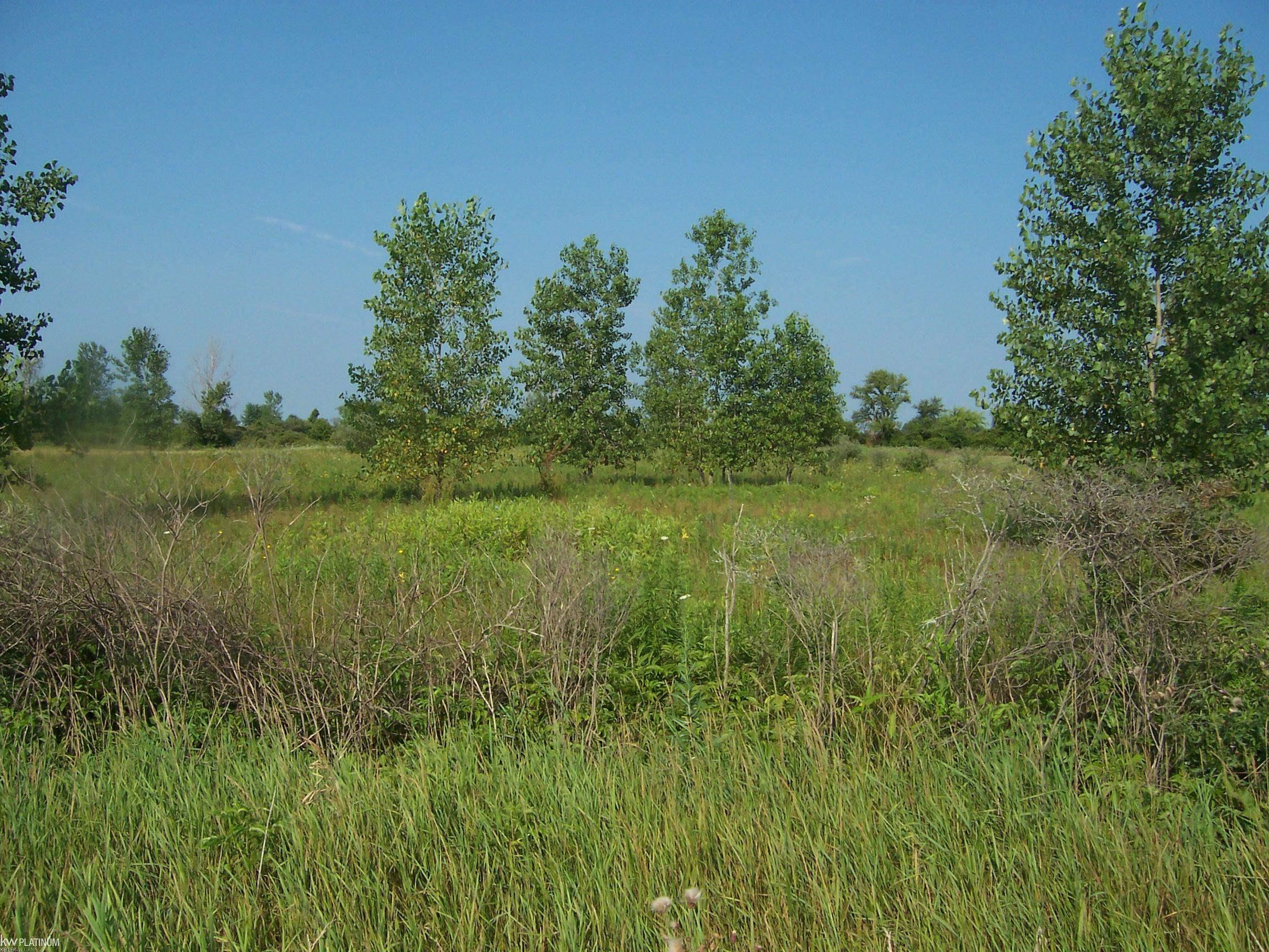 Vacant Minor Road Memphis, MI 48041 - Photo 1 of 3 Gallery Image 1
