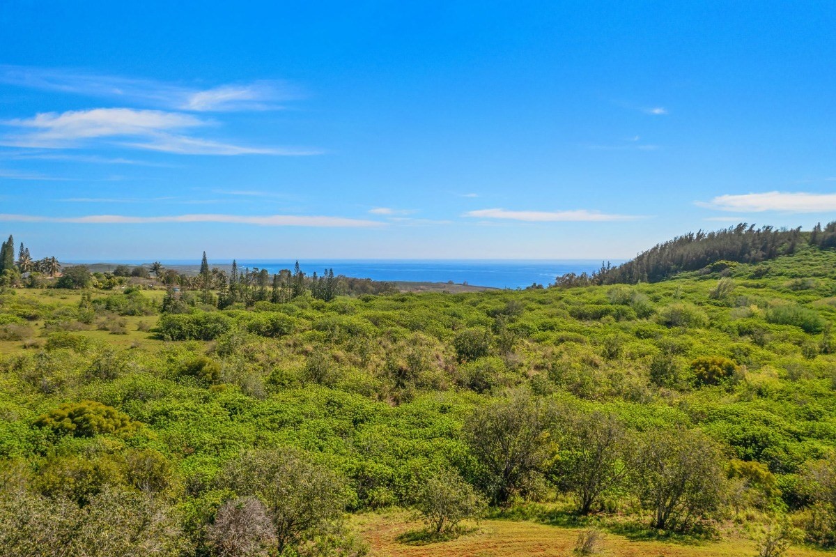 3 Ihu Road Kalaheo, HI 96741 - Photo 11 of 20 Gallery Image 11